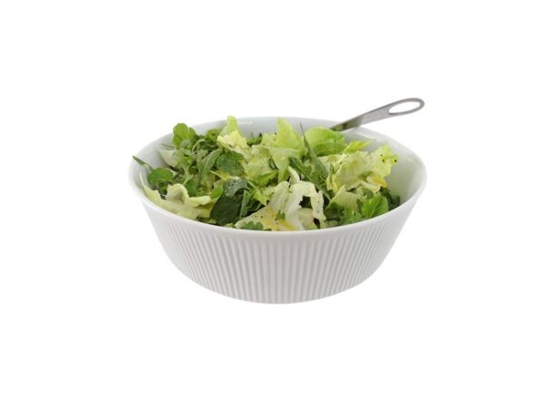 Grüner Salat mit Dressing (klein)